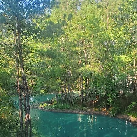 Waterfront Treehouse In A Magical Forest Waller Esterno foto