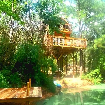 Waterfront Treehouse In A Magical Forest Waller Esterno foto